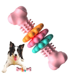 ChewMax Dental Bone — Indestructible Chew Toy