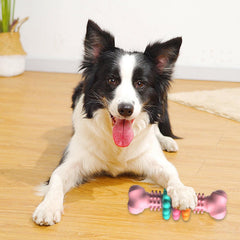 ChewMax Dental Bone — Indestructible Chew Toy