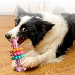 ChewMax Dental Bone — Indestructible Chew Toy
